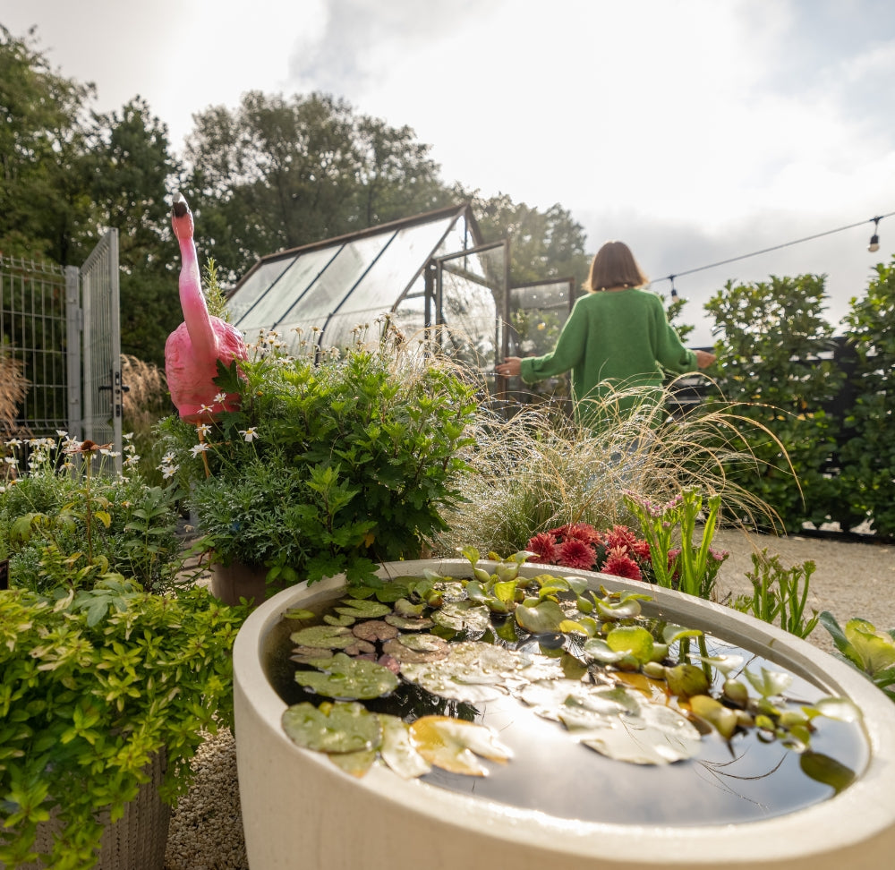 De voordelen van een insectenhotel voor je tuin en planten