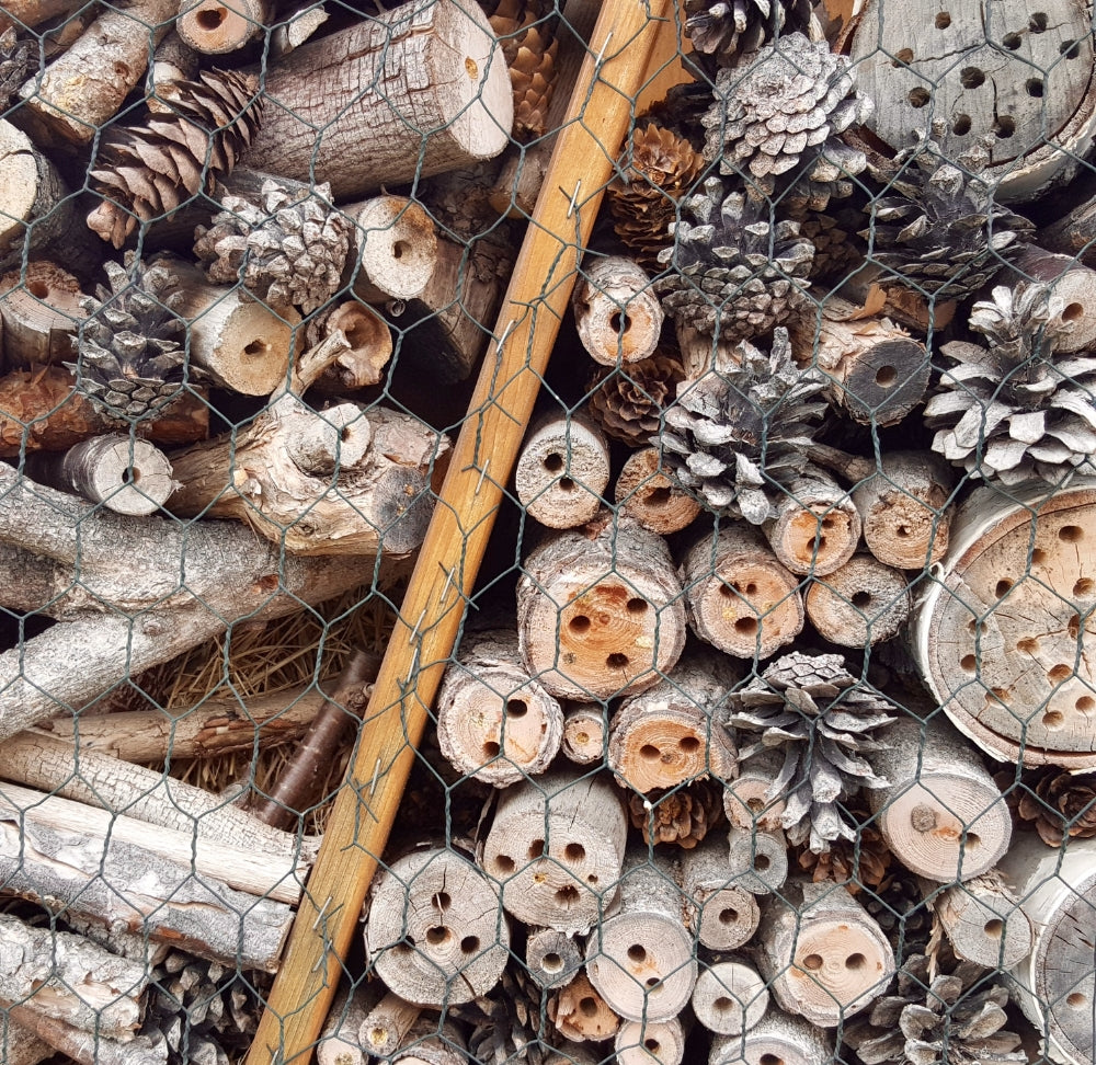 Een bestuiversparadijs creëren: bijen en vlinders aantrekken met insectenhotels
