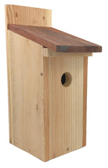 Vogelhuisje koolmees