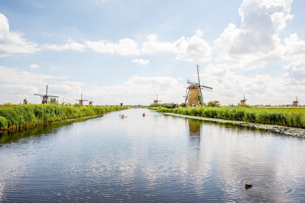 De invloed van klimaatverandering op insecten in Nederland