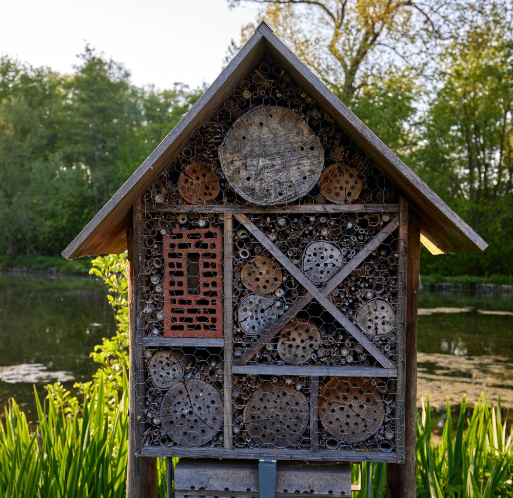 Factcheck: Zijn Insectenhotels Effectief?