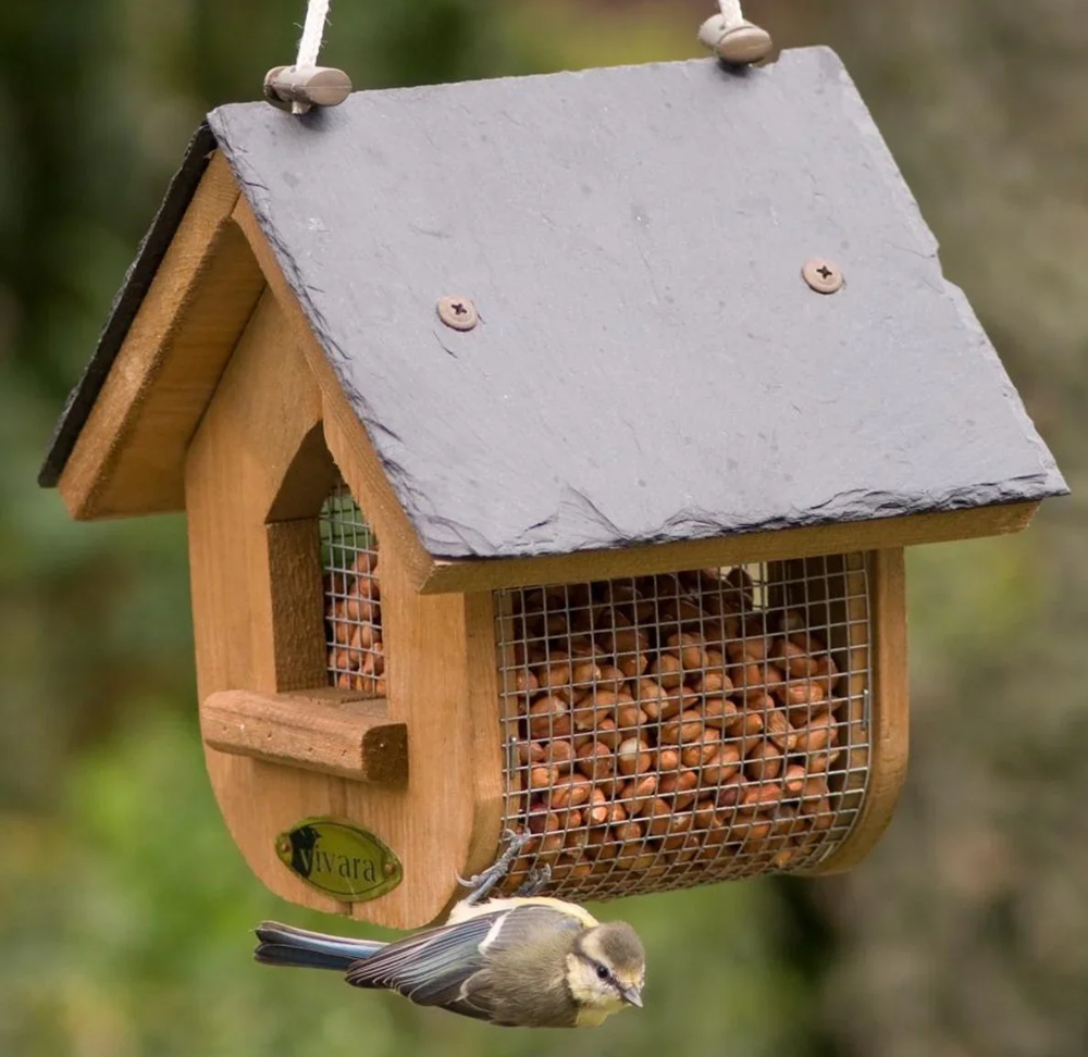 Hoe kies je het juiste vogelhuisje?