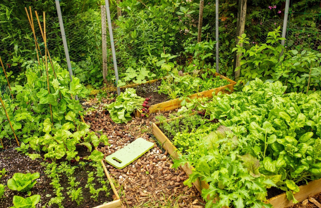 Insectenhotels en moestuinen: Dé match voor een gezonde tuin