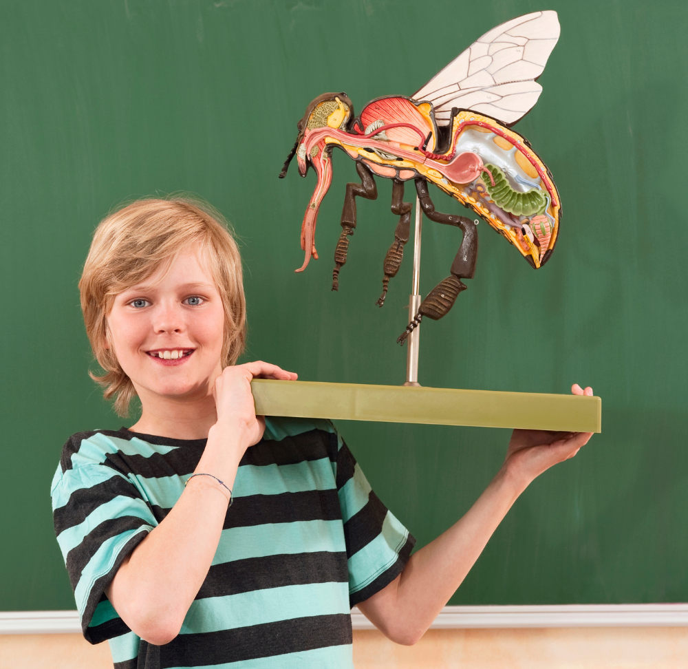 Insectenhotels voor Kinderen: Educatieve Activiteiten en Projecten