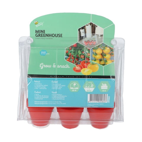 Buzzy Tomato Garden Kweekset