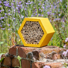 WoodStone Insectenhotel Matias 17 x 15 x 11 cm