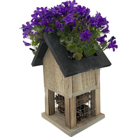 Insectenhotel Bloempot klein 15 x 14 x 22 cm Dennenappels