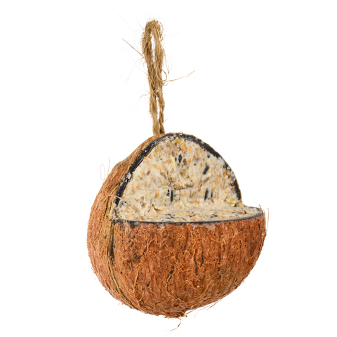 Gevulde kokosnoot