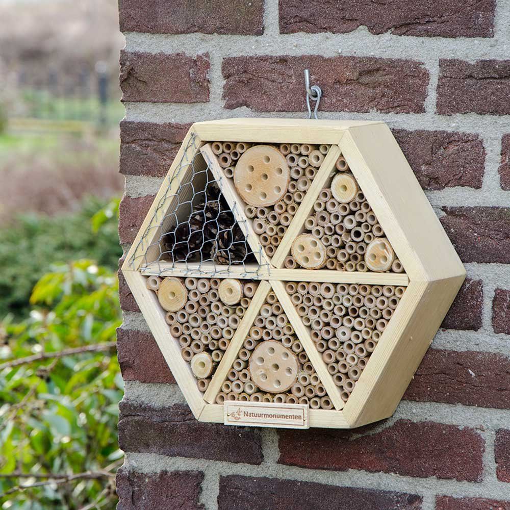 Bamboe Nestbuisjes Voor Bijenhotel - Maak Je Eigen Insectenhuis Met 60 Kokers Voor Bijen Hommels En Insecten Bamboe Nestbuisjes Voor Bijenhotel - Maak Je Eigen Insectenhuis Met 60 Kokers Voor Bijen Hommels En Insecten
