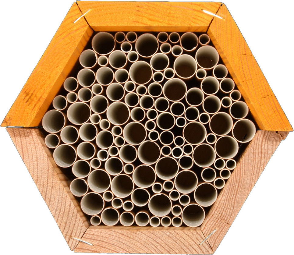 Bijenhuis 14,6 x 14,8 cm hout naturel/geel